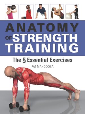 cover image of Anatomy of Strength Training